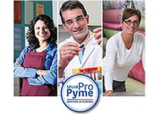 Sello pro pyme: la experiencia de la ACHS Sello pro pyme: la experiencia de la ACHS