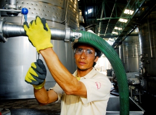Enfermedades profesionales: el gran desafío de la seguridad laboral  Enfermedades profesionales: el gran desafío de la seguridad laboral