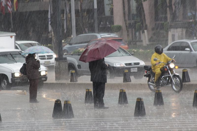 Cubiertas de carretera todas las medidas, para la lluvia