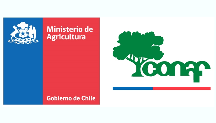 La ACHS y CONAF desarrollaron con éxito la semana de la seguridad 2020 La ACHS y CONAF desarrollaron con éxito la semana de la seguridad 2020