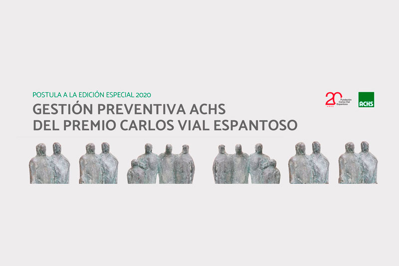 Se abre postulación para grandes empresas a la edición especial premio Carlos Vial Espantoso 2020 Se abre postulación para grandes empresas a la edición especial premio Carlos Vial Espantoso 2020