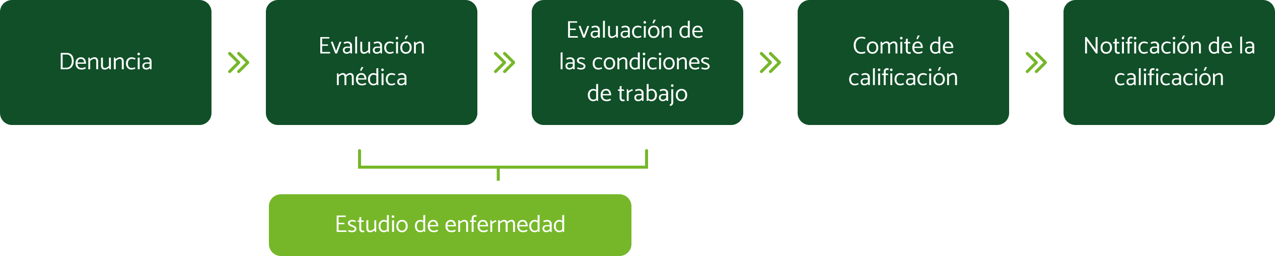 imagen_notificaciondeenfermedad (2)