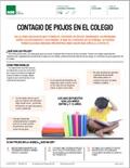 Contagio de piojos en el colegio