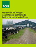 Prevención de riesgos en el manejo del ganado bovino de leche y de carne