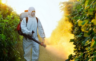 Estos son los síntomas de intoxicación por plaguicidas Estos son los síntomas de intoxicación por plaguicidas