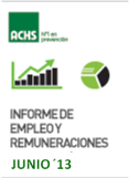 Informe de Empleo y Remuneraciones ACHS Junio 2013 Informe de Empleo y Remuneraciones ACHS Junio 2013