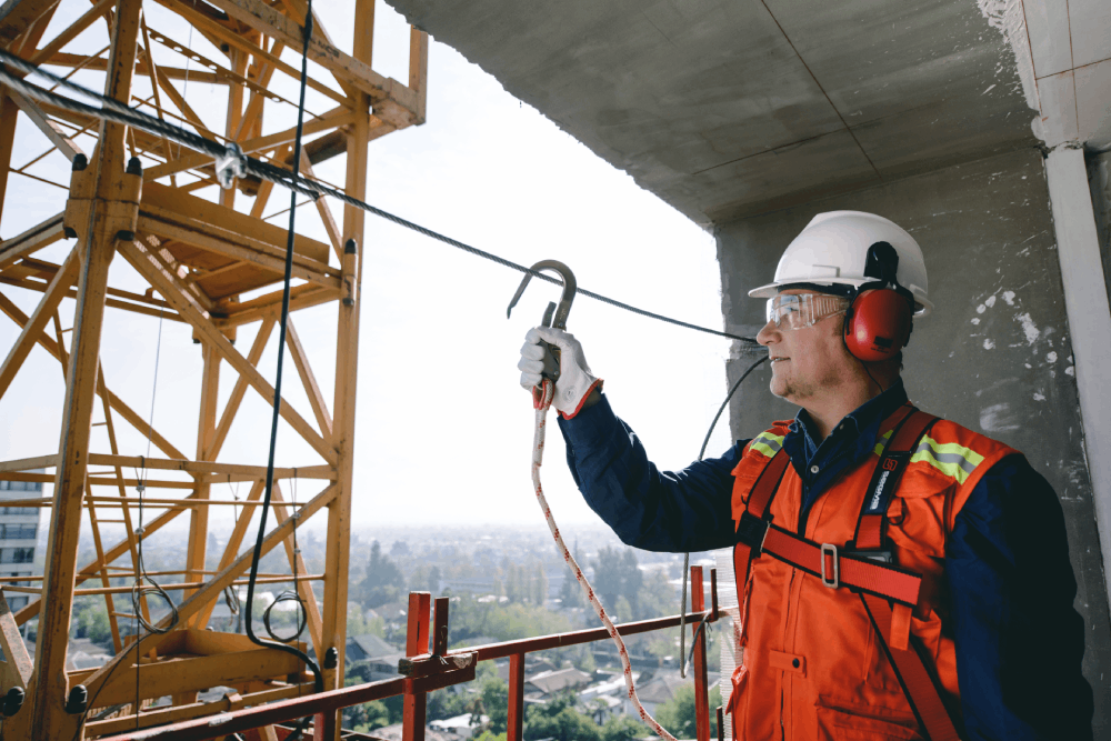 Actualizamos nuestro sitio web SEL